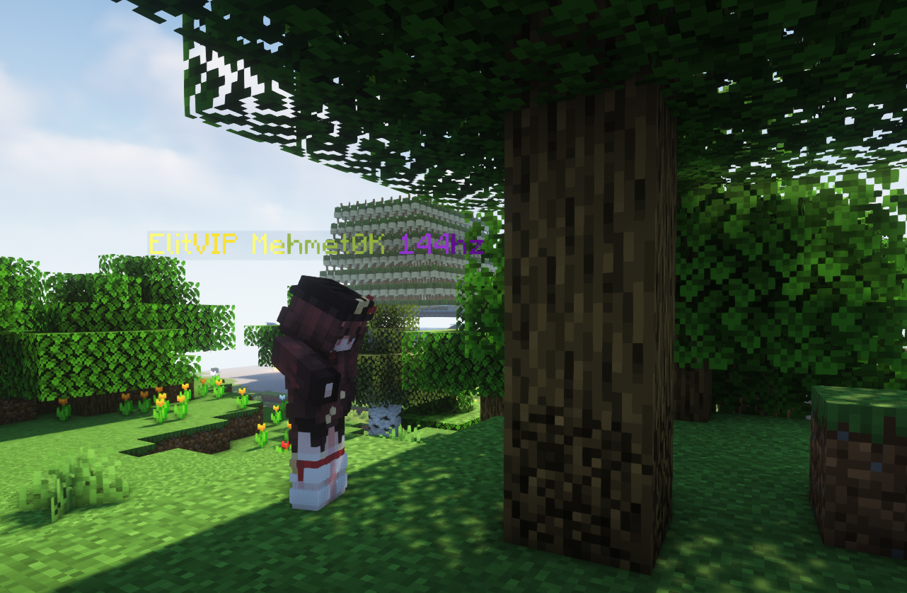 Minecraft Survival Moduna Yeni Başlayan Bir Oyuncu