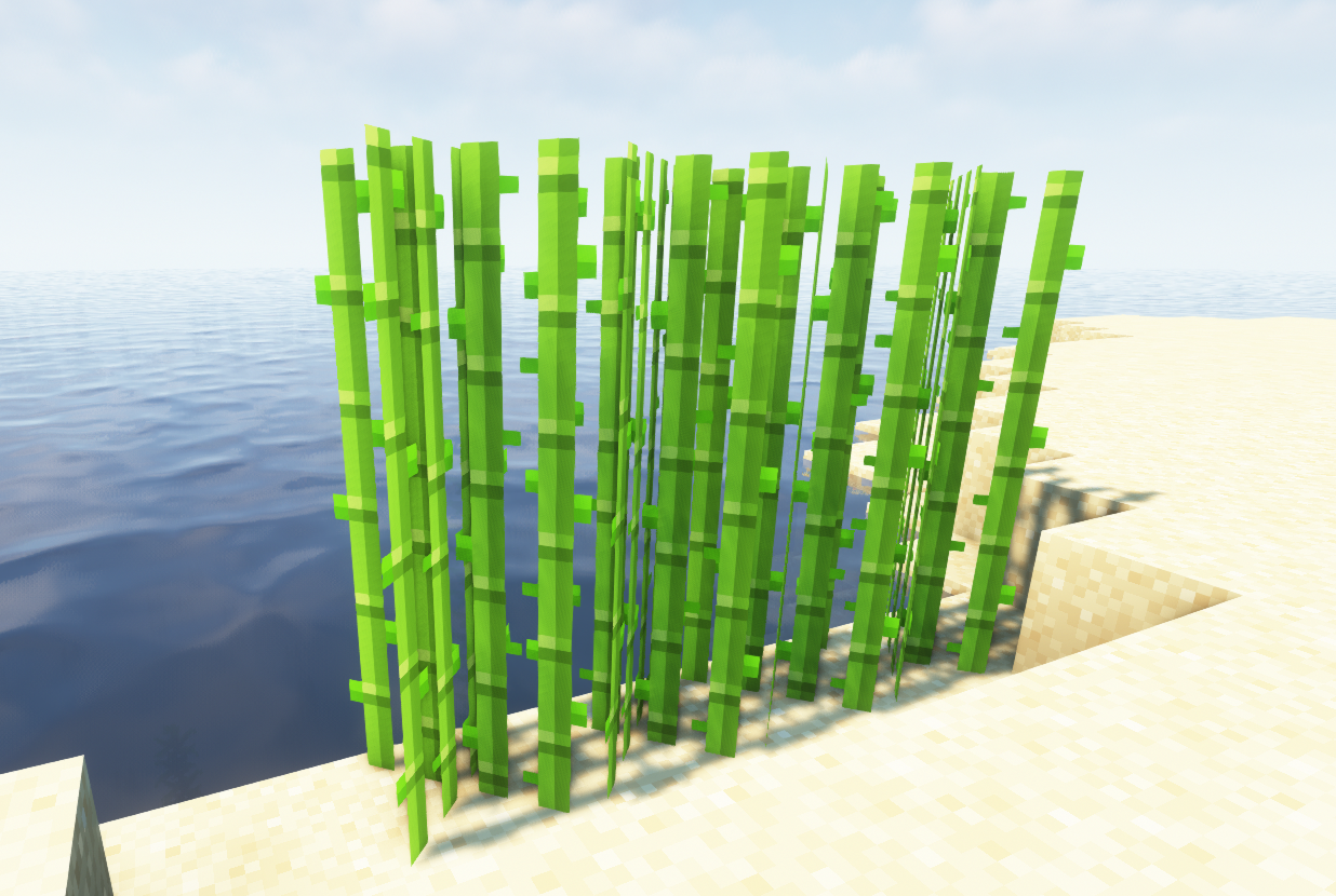 Minecraft Şeker kamışı nasıl ekilir? Minecraft Şeker kamışı nasıl ekilir?